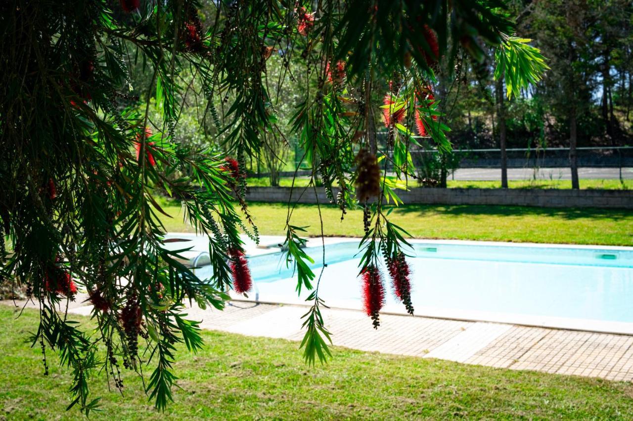Hotel Rural Quinta Do Juncal Serra d'El-Rei Экстерьер фото